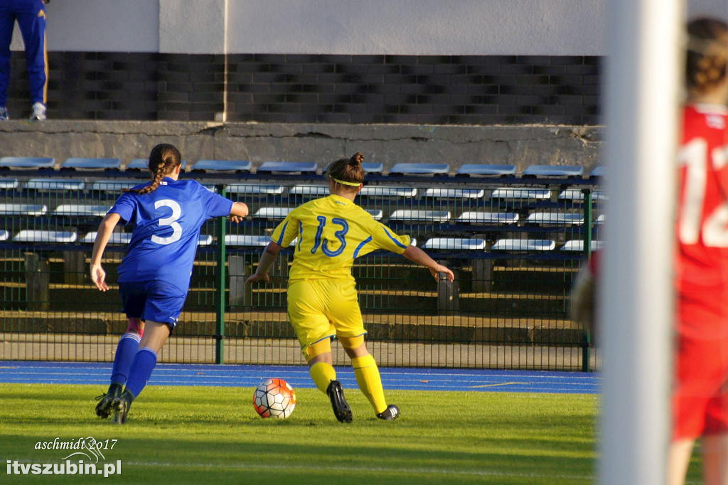 WYSPY OWCZE - UKRAINA 1:6
