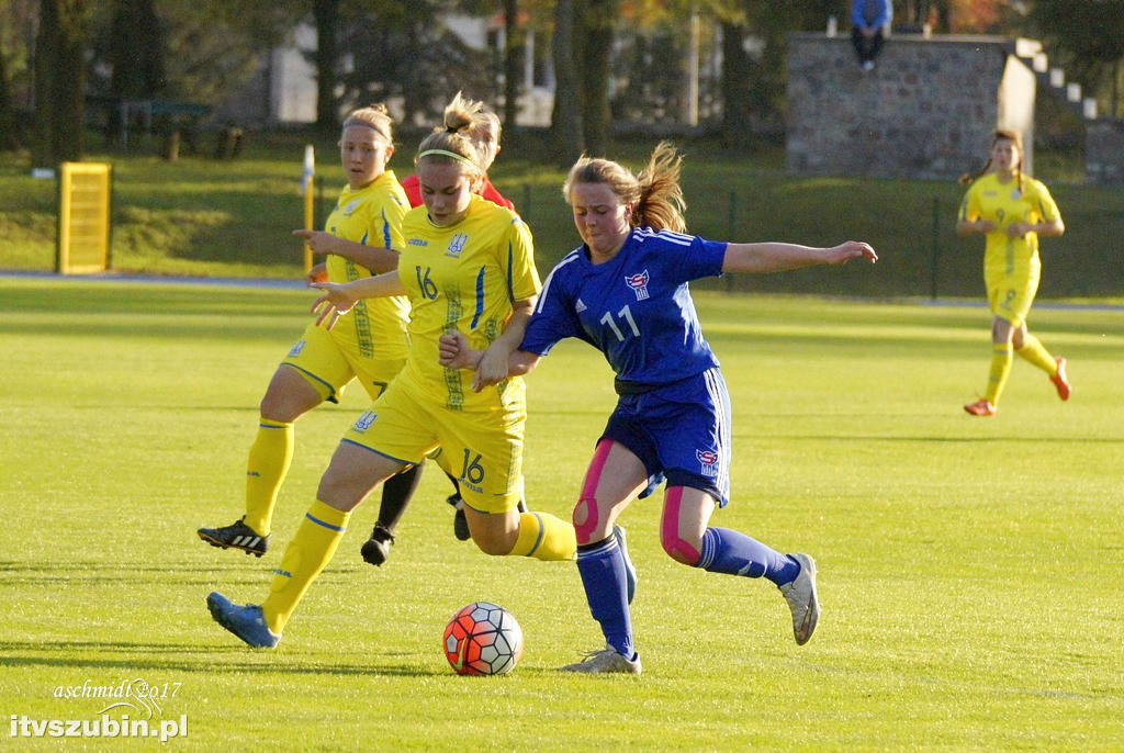 WYSPY OWCZE - UKRAINA 1:6