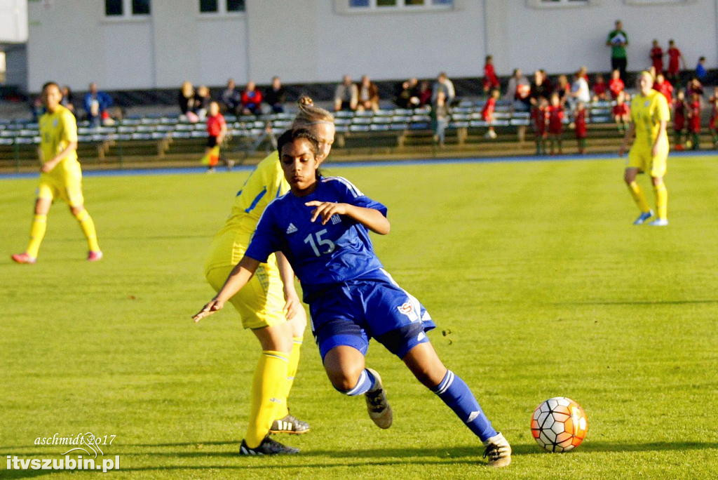 WYSPY OWCZE - UKRAINA 1:6