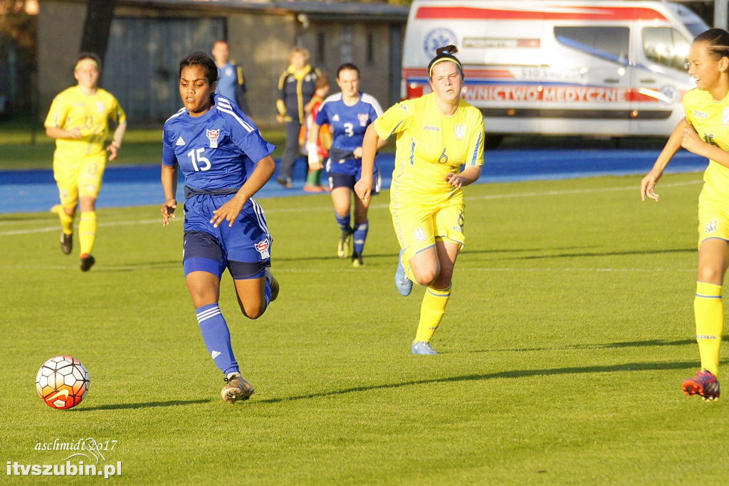 WYSPY OWCZE - UKRAINA 1:6