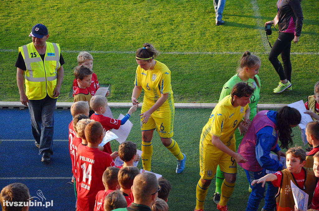 WYSPY OWCZE - UKRAINA 1:6