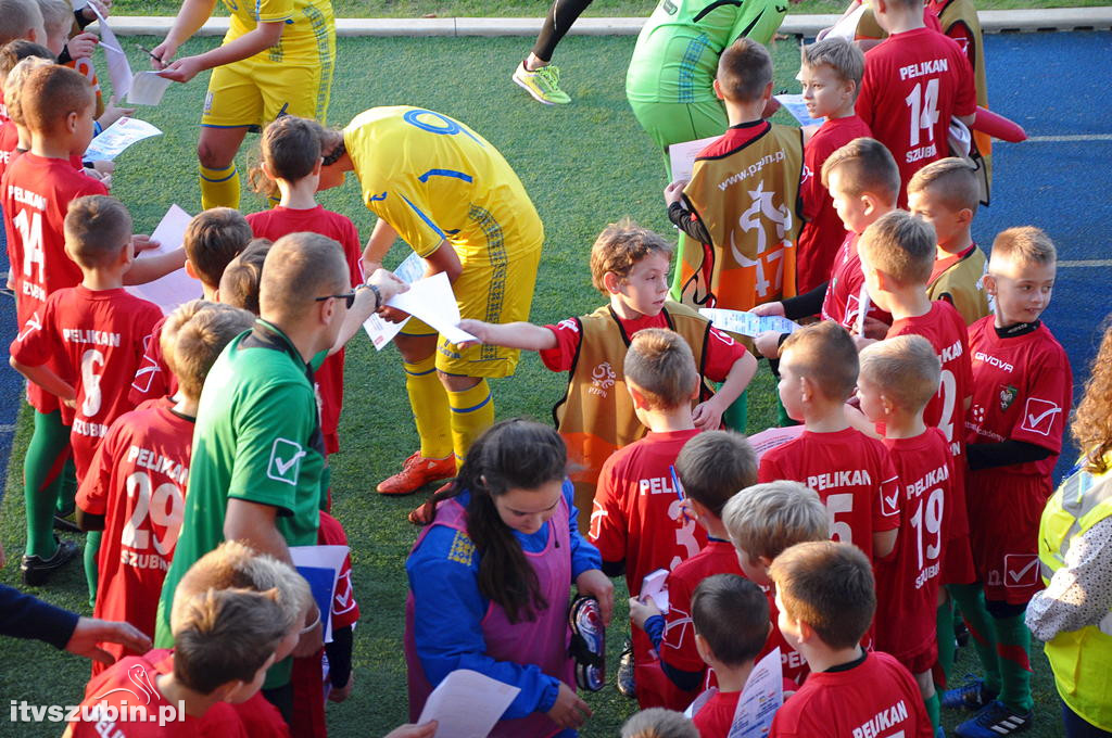 WYSPY OWCZE - UKRAINA 1:6
