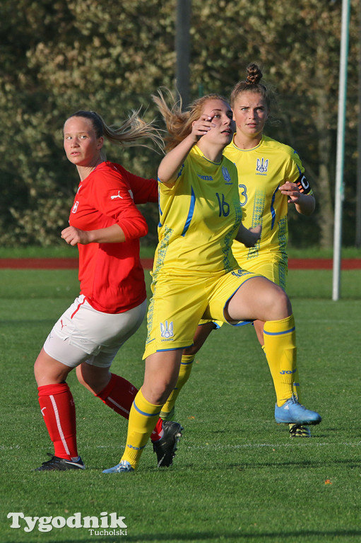 WYSPY OWCZE - UKRAINA 1:6