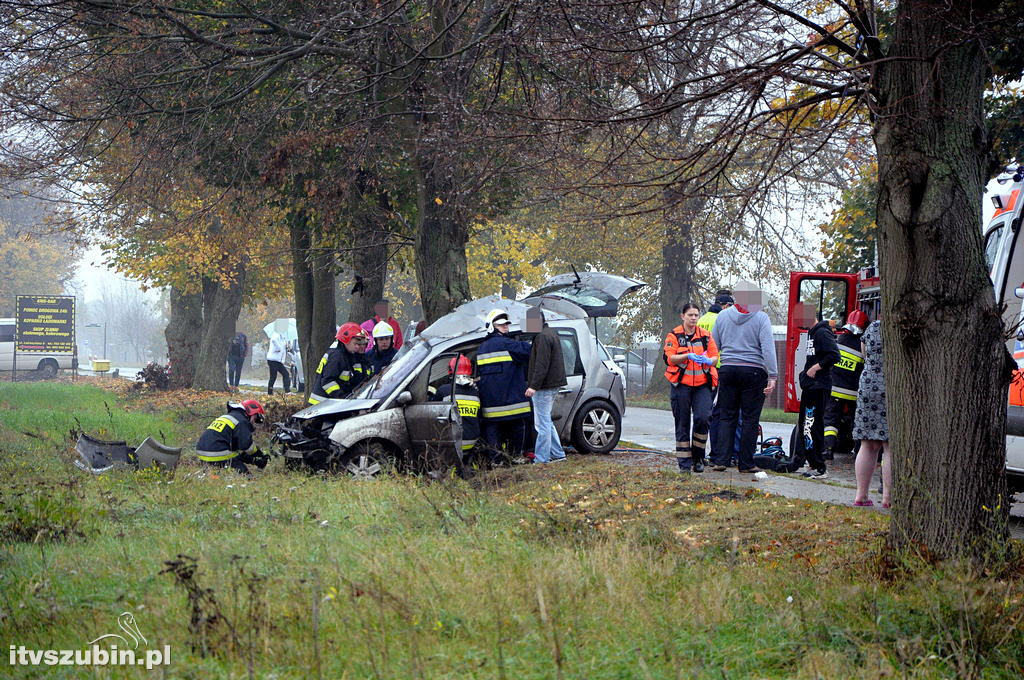18 letni mieszkaniec Szkocji zginął w wypadku w Małych Rudach
