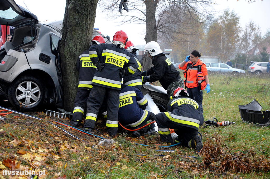 18 letni mieszkaniec Szkocji zginął w wypadku w Małych Rudach