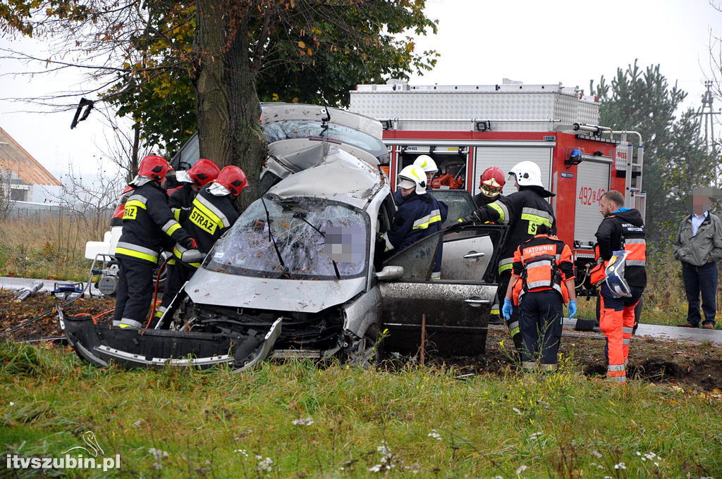 18 letni mieszkaniec Szkocji zginął w wypadku w Małych Rudach