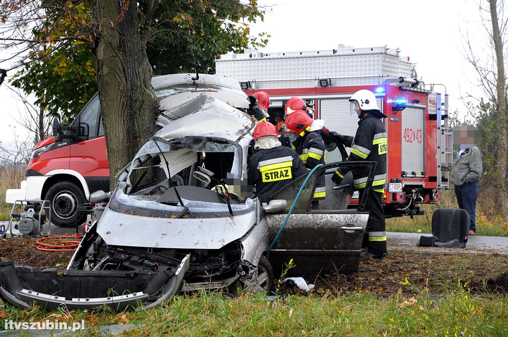 18 letni mieszkaniec Szkocji zginął w wypadku w Małych Rudach
