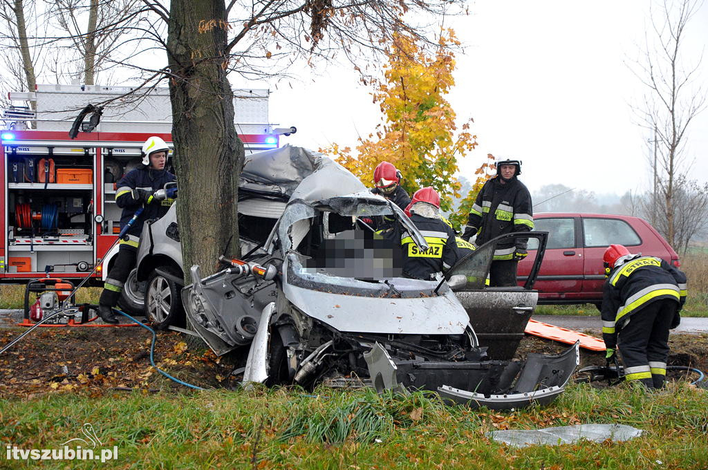 18 letni mieszkaniec Szkocji zginął w wypadku w Małych Rudach