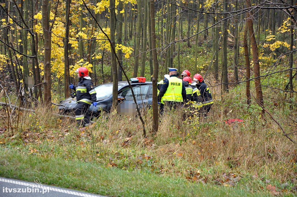 DW 246, osobowy volkswagen wjechał do rowu