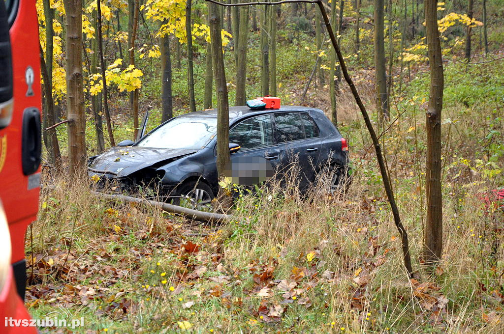 DW 246, osobowy volkswagen wjechał do rowu