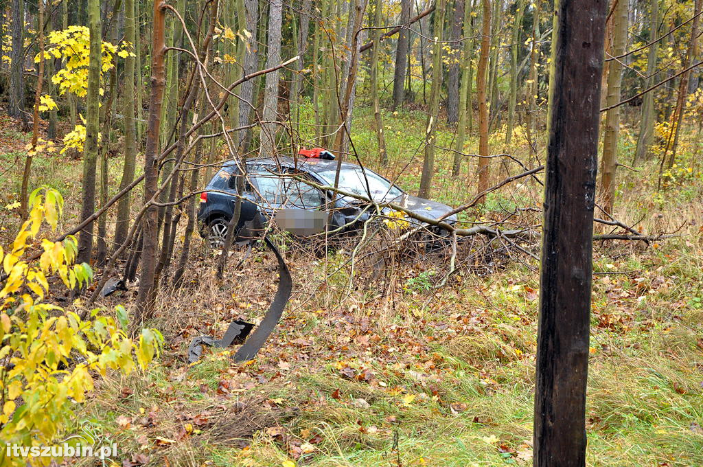 DW 246, osobowy volkswagen wjechał do rowu