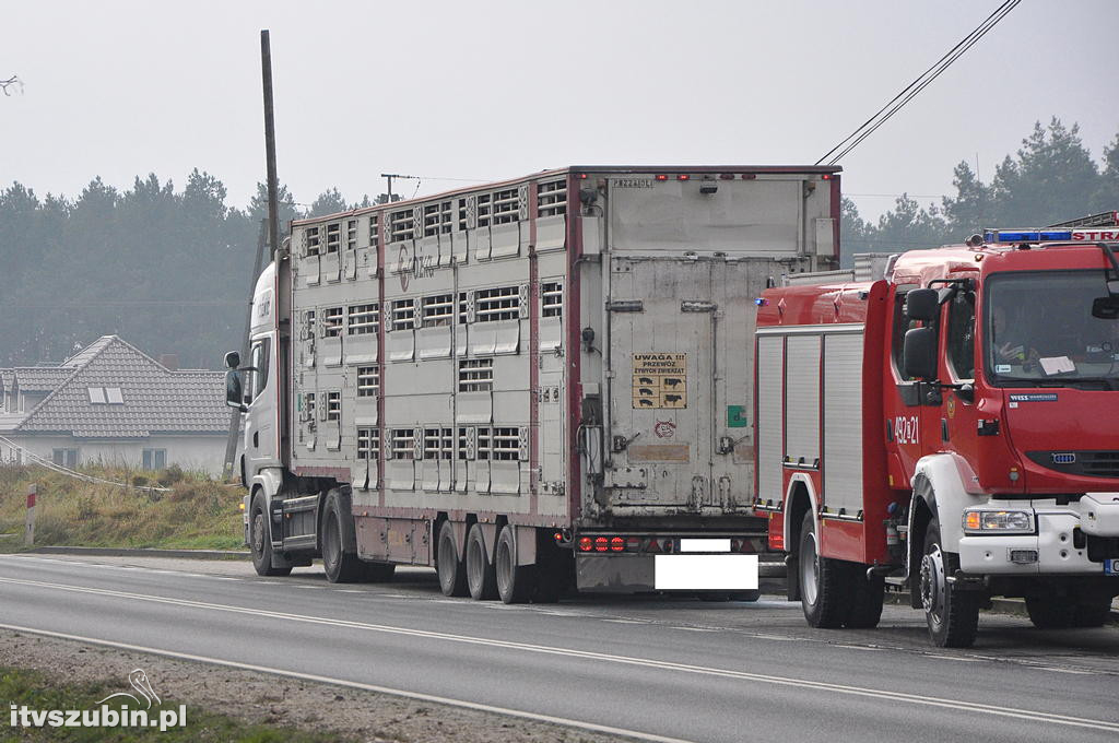 Utrudnienia na DW 246 w miejscowości Szubin Wieś