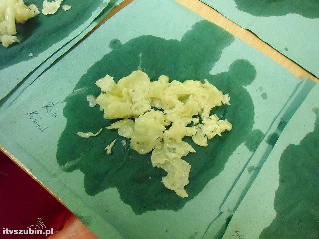 Popołudnie pełne magicznych wróżb