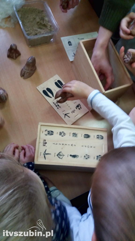 Przedszkolaki poznają las jesienią