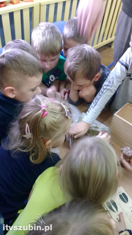 Przedszkolaki poznają las jesienią