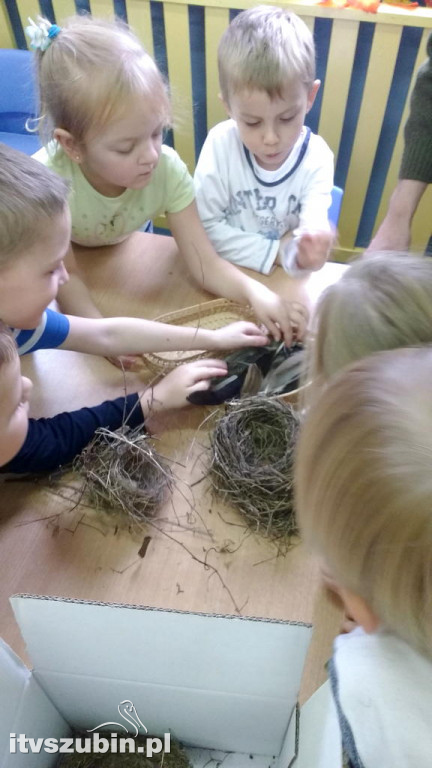 Przedszkolaki poznają las jesienią