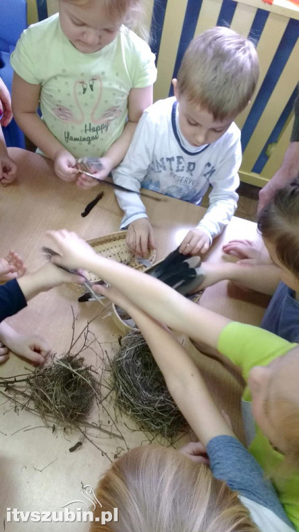 Przedszkolaki poznają las jesienią