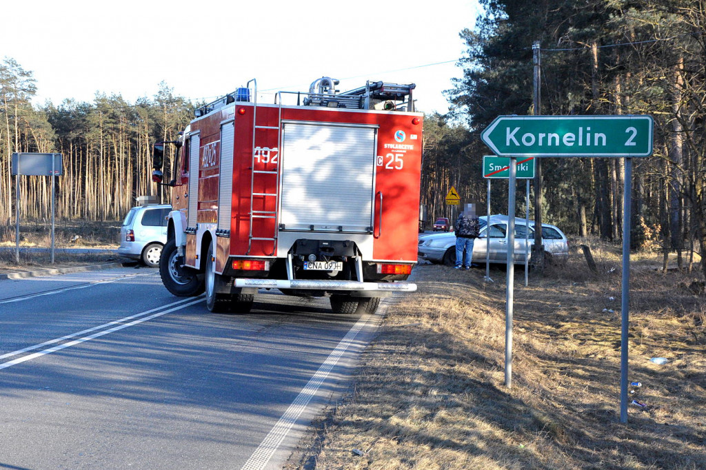 Wypadek w Smolnikach [DW246)