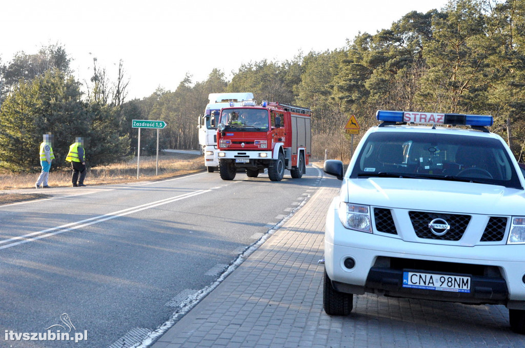 Wypadek w Smolnikach [DW246)