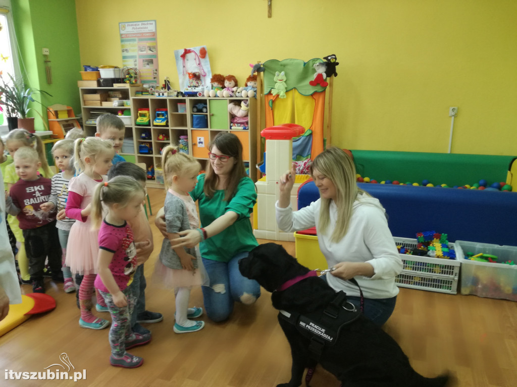 Przedszkolaki odwiedzili niecodzienni goście