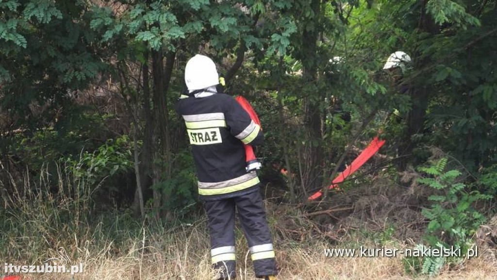 Pożar lasu w Polichnie