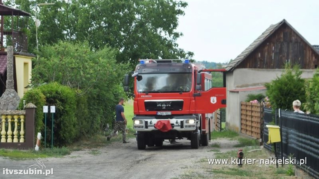 Pożar lasu w Polichnie