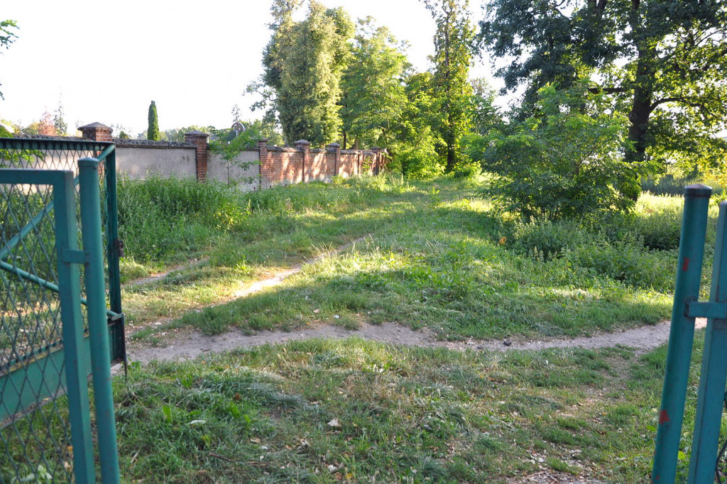 Dżungla przy nakielskiej, sierpień 2018