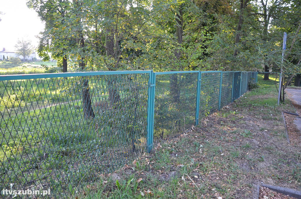 Dżungla przy nakielskiej, sierpień 2018