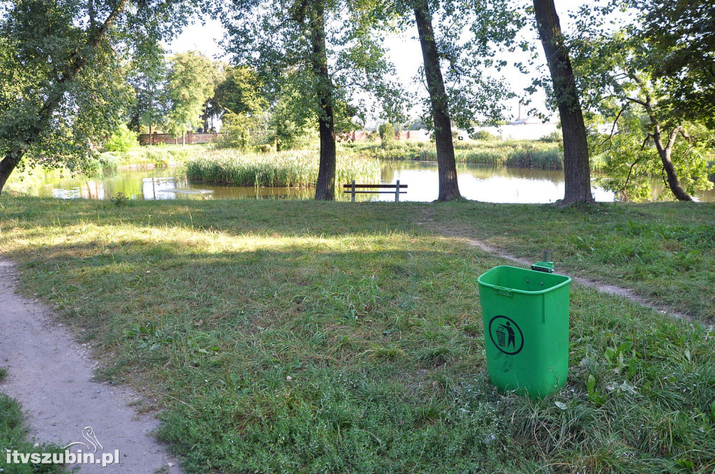 Dżungla przy nakielskiej, sierpień 2018