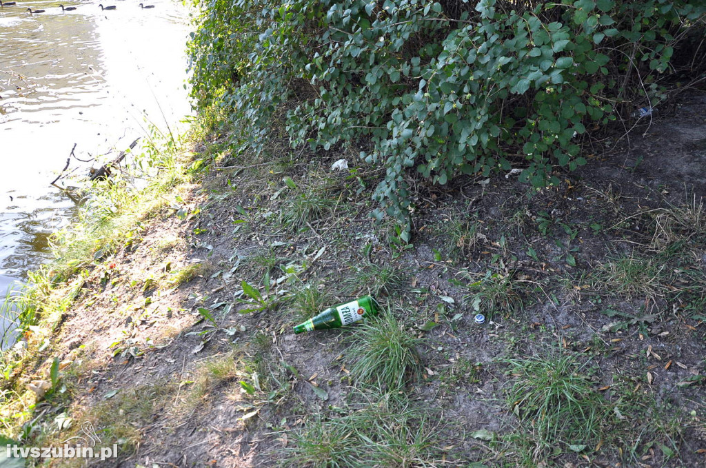 Dżungla przy nakielskiej, sierpień 2018