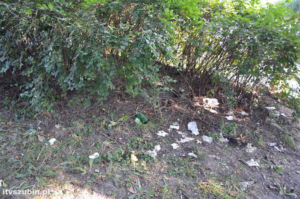 Dżungla przy nakielskiej, sierpień 2018