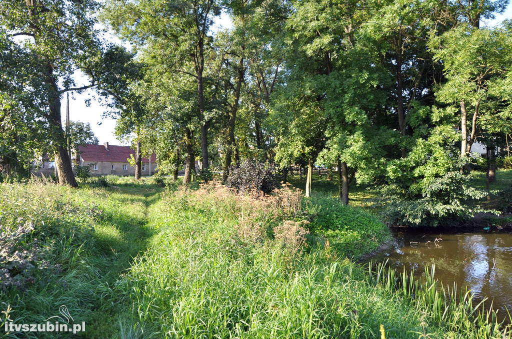 Dżungla przy nakielskiej, sierpień 2018