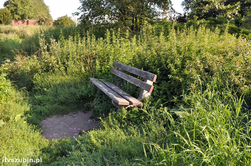 Dżungla przy nakielskiej, sierpień 2018