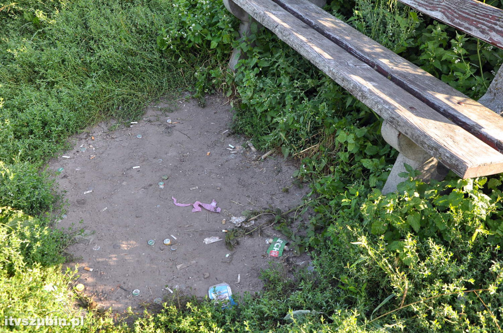 Dżungla przy nakielskiej, sierpień 2018