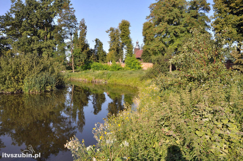 Dżungla przy nakielskiej, sierpień 2018