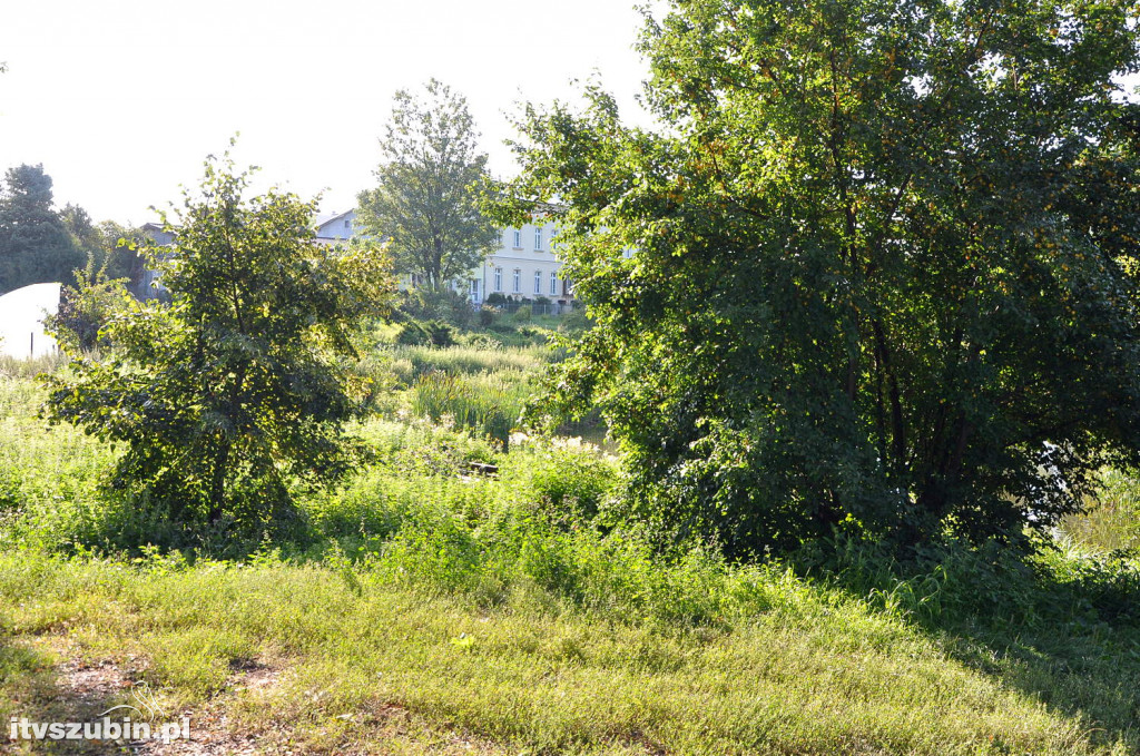Dżungla przy nakielskiej, sierpień 2018