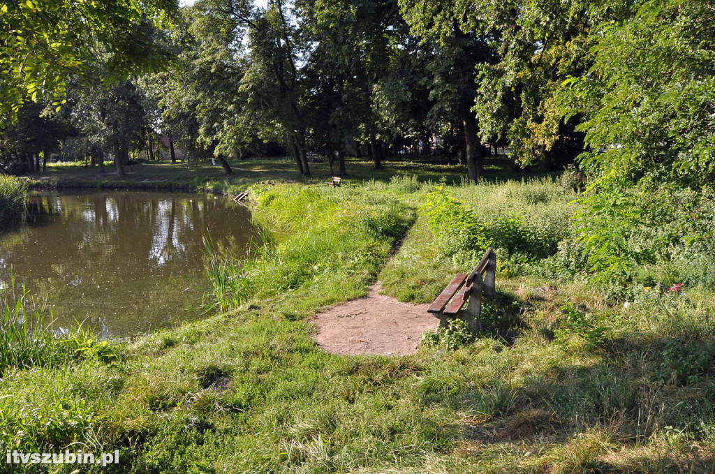 Dżungla przy nakielskiej, sierpień 2018