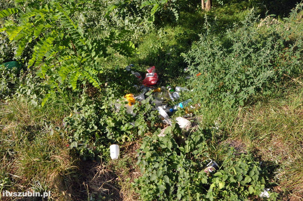 Dżungla przy nakielskiej, sierpień 2018