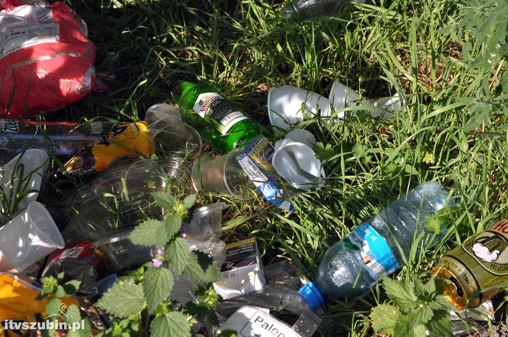 Dżungla przy nakielskiej, sierpień 2018