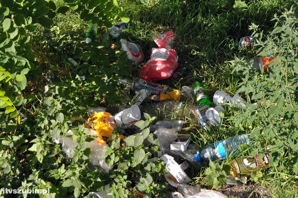 Dżungla przy nakielskiej, sierpień 2018