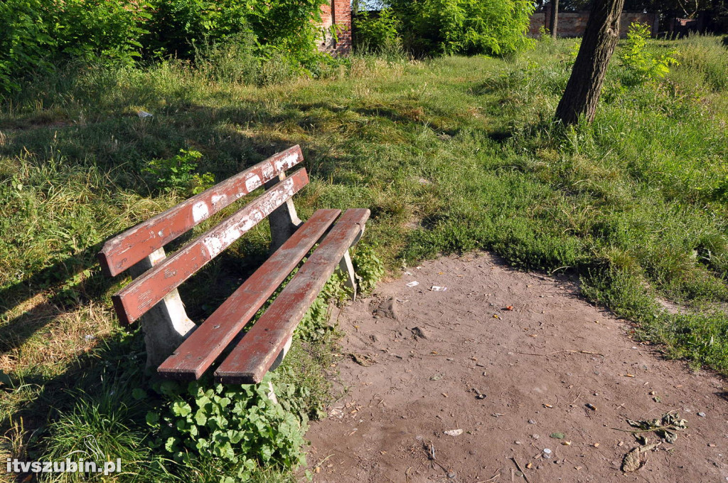 Dżungla przy nakielskiej, sierpień 2018