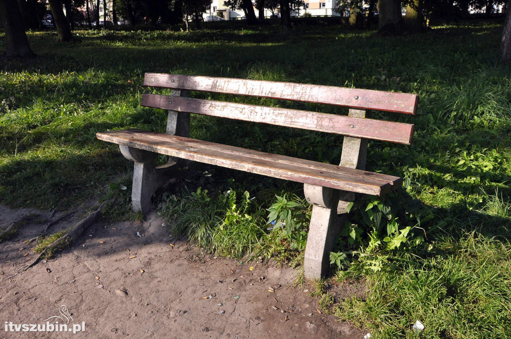 Dżungla przy nakielskiej, sierpień 2018
