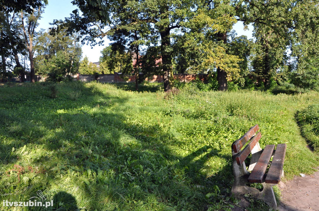 Dżungla przy nakielskiej, sierpień 2018