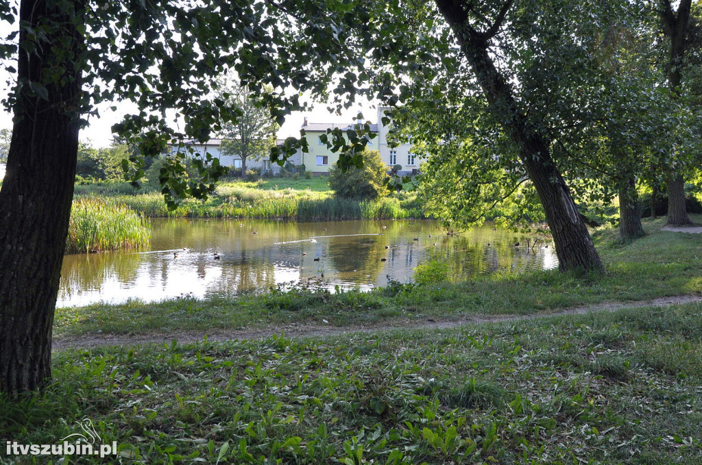Dżungla przy nakielskiej, sierpień 2018