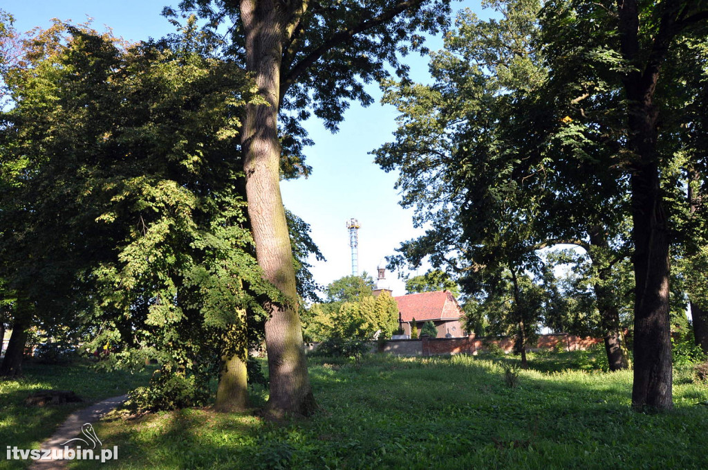 Dżungla przy nakielskiej, sierpień 2018