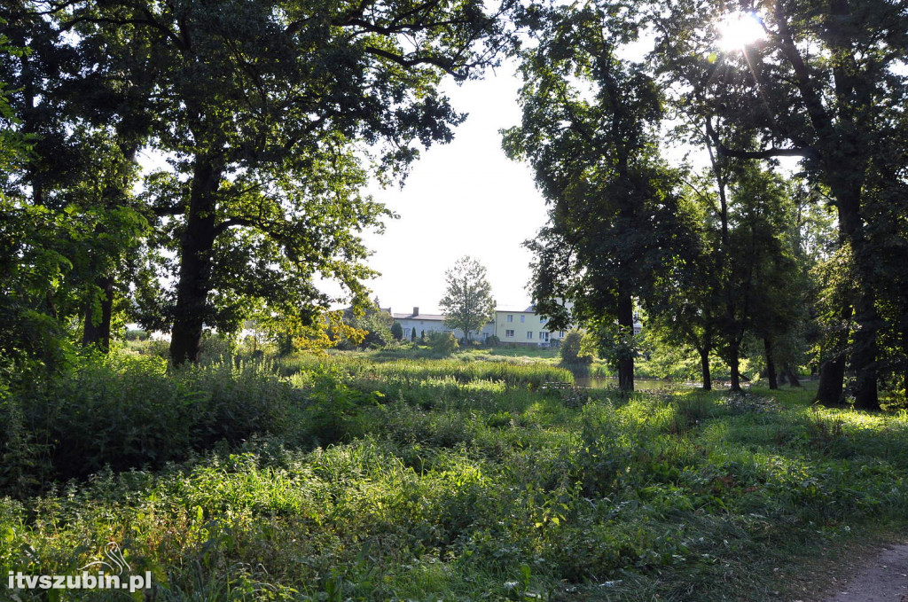 Dżungla przy nakielskiej, sierpień 2018
