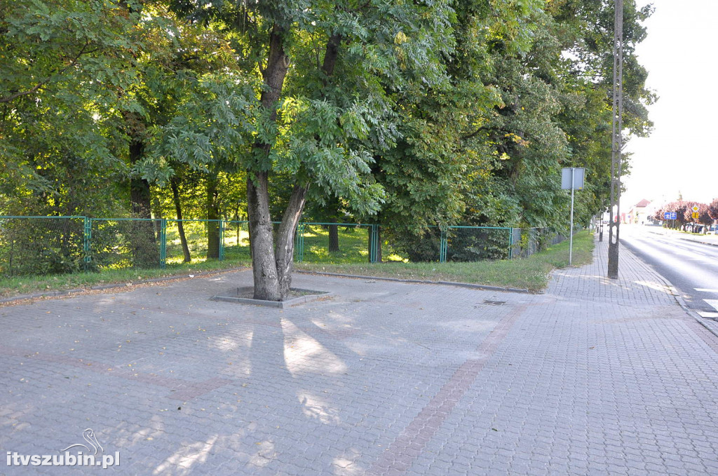 Dżungla przy nakielskiej, sierpień 2018
