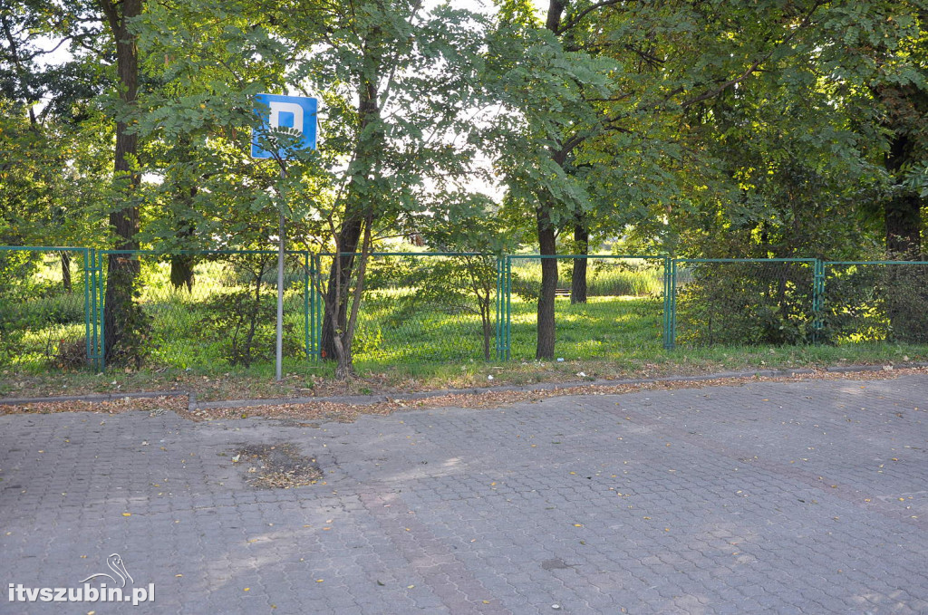 Dżungla przy nakielskiej, sierpień 2018