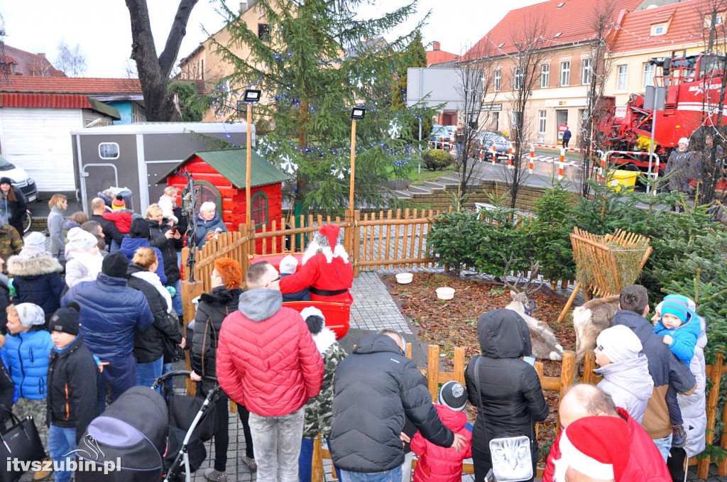 MikoJarmark cieszył się zainteresowaniem