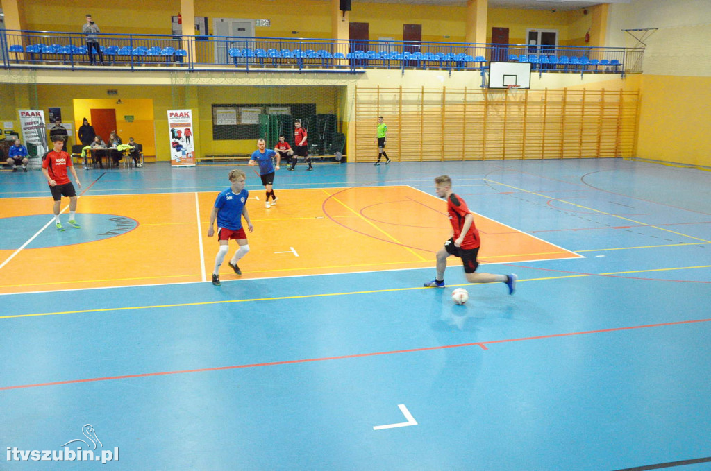 PELICUP 2019